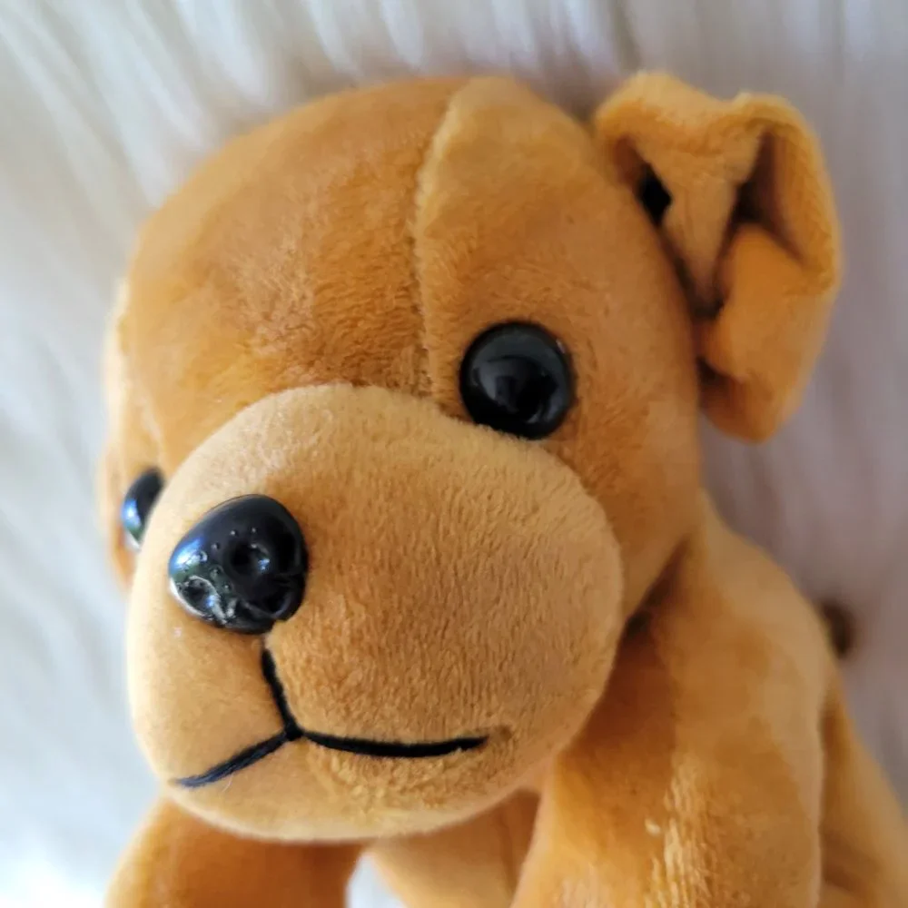 Puppy Dog Pencil Case Set